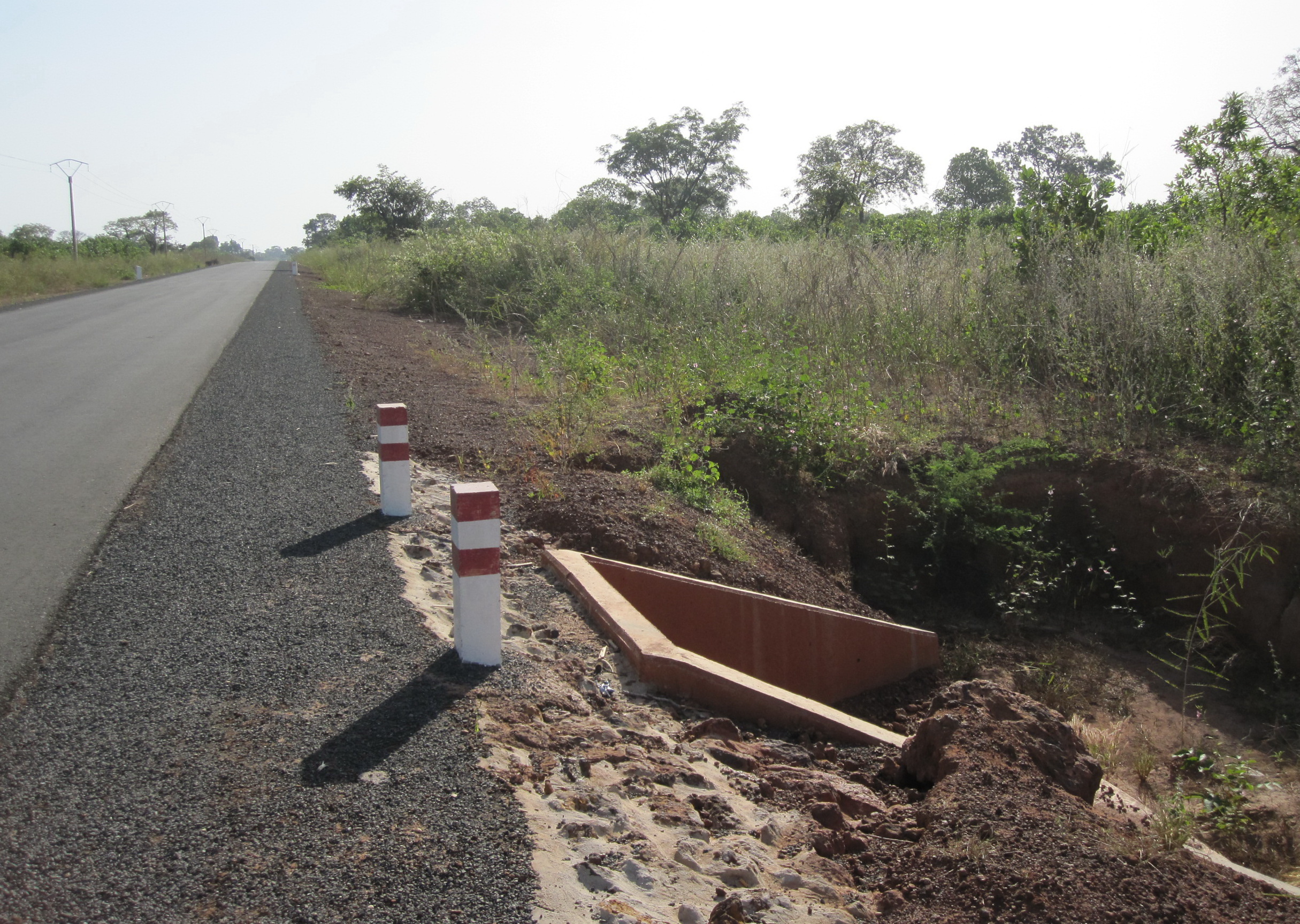 Building the elements of life.