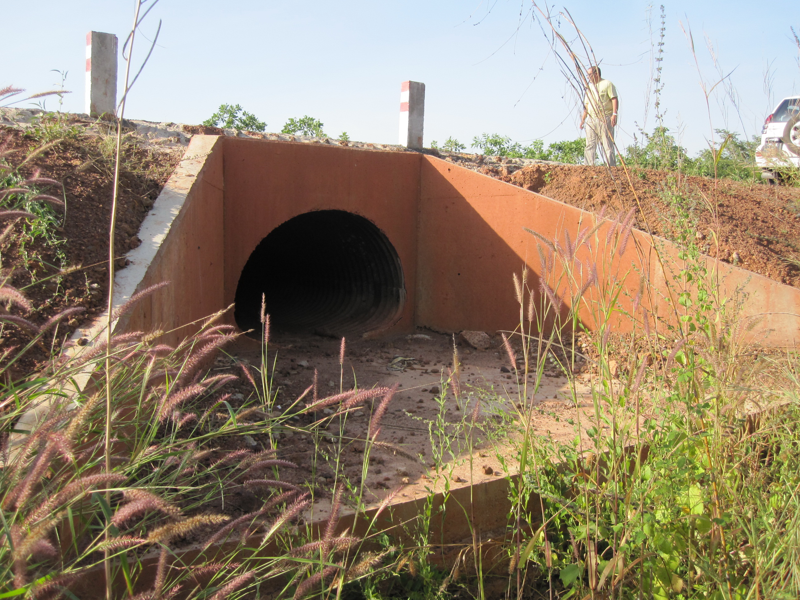 Building the elements of life.