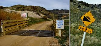 Building the elements of life.