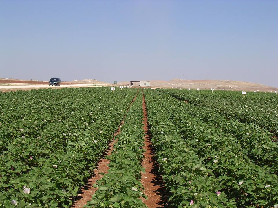 Building the elements of life.