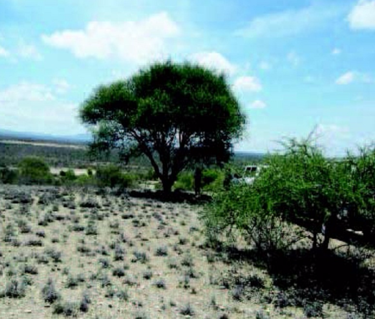 Building the elements of life.