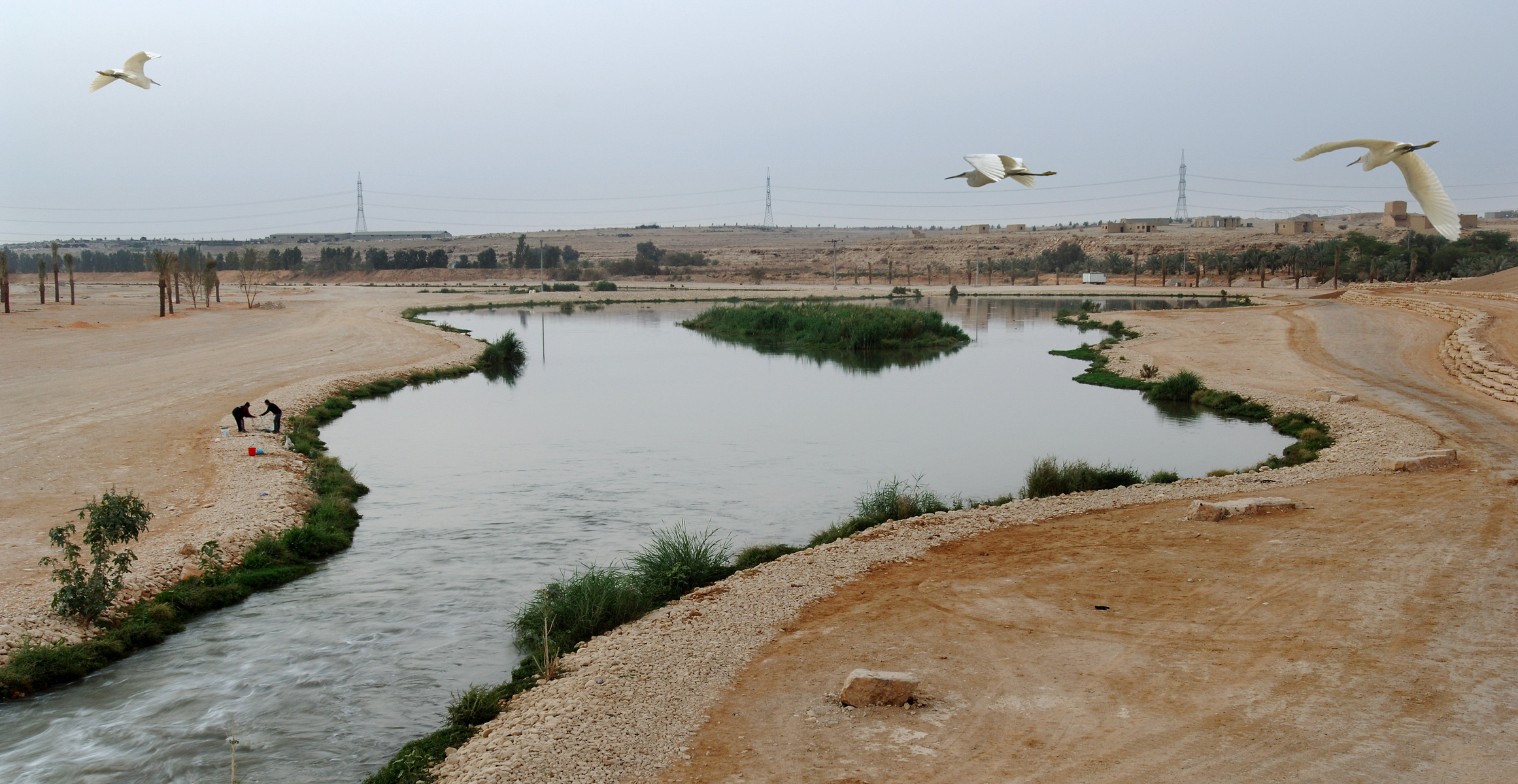 Building the elements of life.