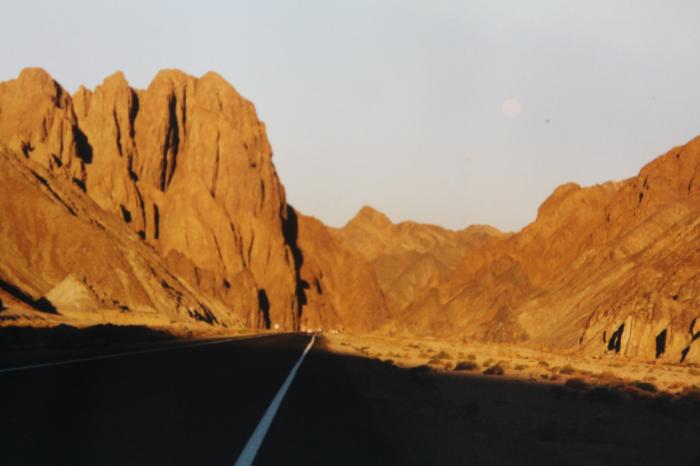 Building the elements of life.