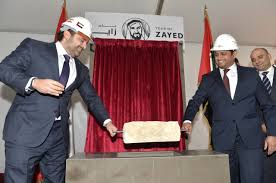 Building the elements of life.