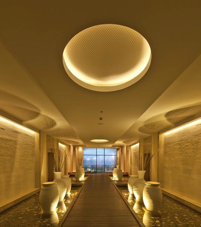 Building the elements of life.