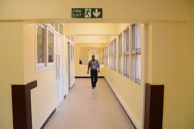 Building the elements of life.