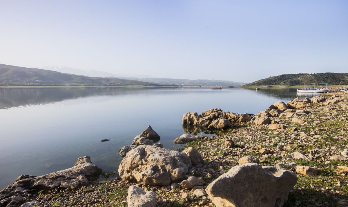 Building the elements of life.