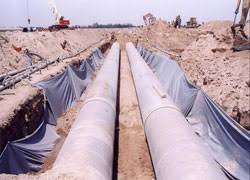 Building the elements of life.