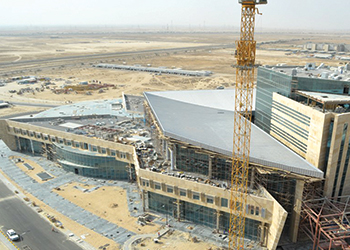 Building the elements of life.