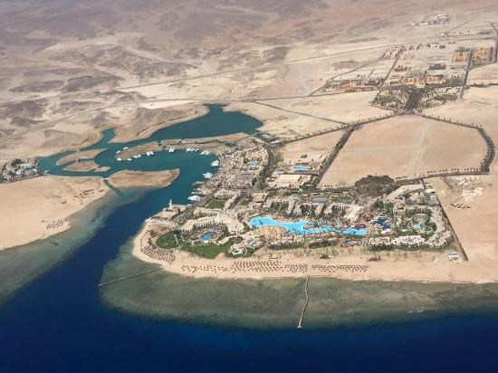 Building the elements of life.