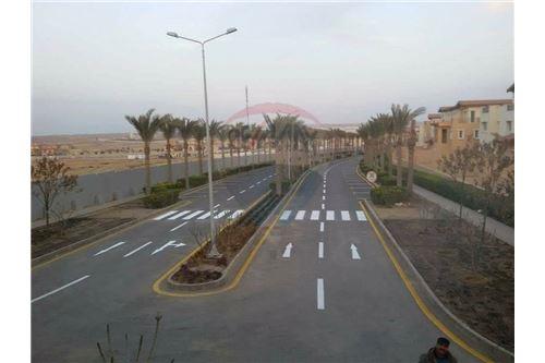 Building the elements of life.