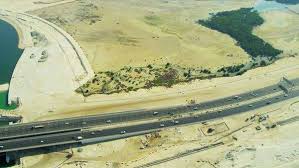 Building the elements of life.