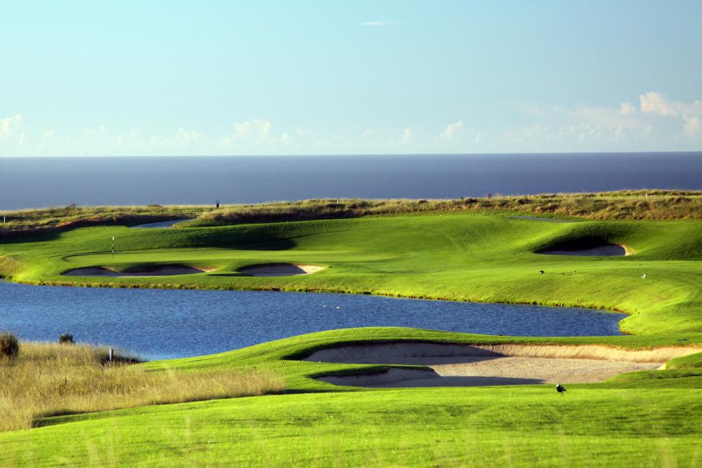 Building the elements of life.